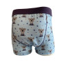 Teeny Hero - Intraversable boxer shorts - Garçon