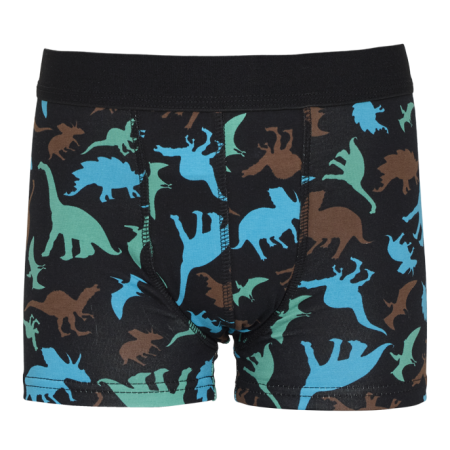 Dry&Cool - Boys' non-reversible boxer shorts