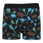 Dry&Cool - Boys' non-reversible boxer shorts